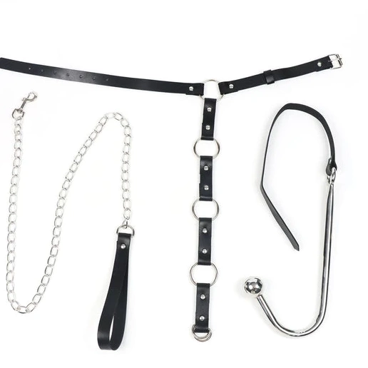 Anal and Hook EverydayUse Collar Kinky Leash 5853 with 0630